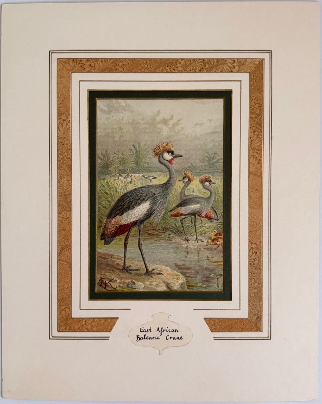 ѹز 4٤Х쥢쥹ĥ 1880ǯ 