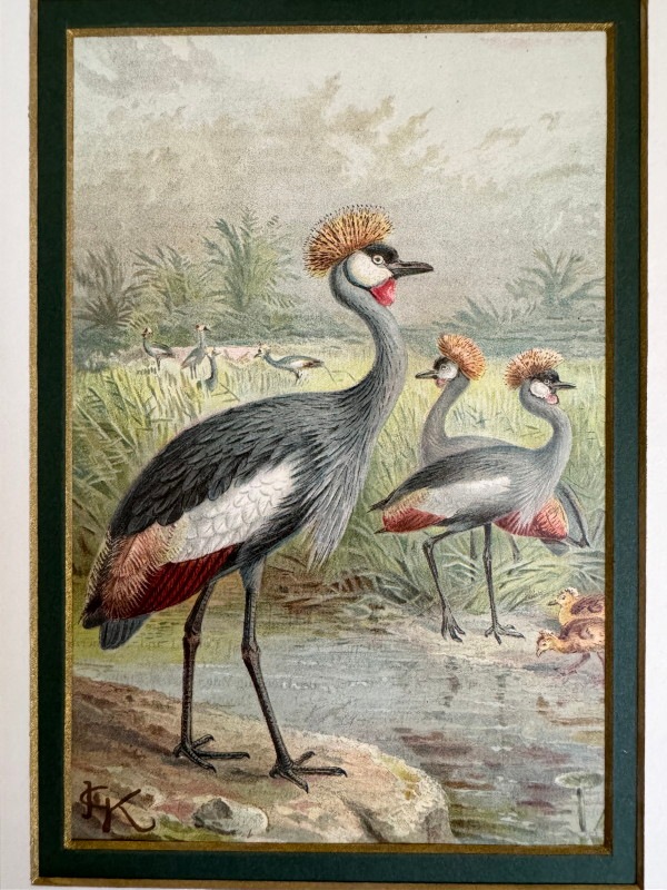 ѹز 4٤Х쥢쥹ĥ 1880ǯ 