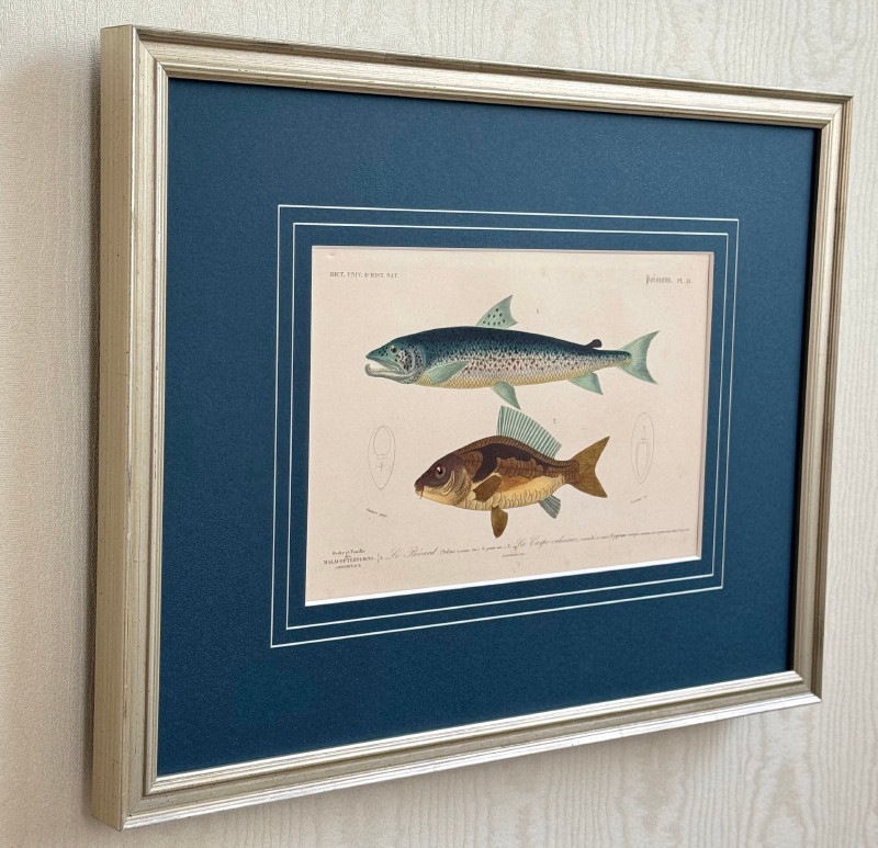 ɥӥˡͭ˼ŵ1849ǯܡ֥ȥ饦ȡ衼åѥ