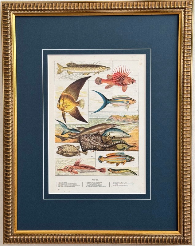 ���å���إʥ����롦�ҥ��ȥ꡼��1889ǯ���ܡֵ����