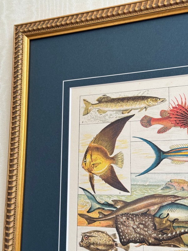 ���å���إʥ����롦�ҥ��ȥ꡼��1889ǯ���ܡֵ����