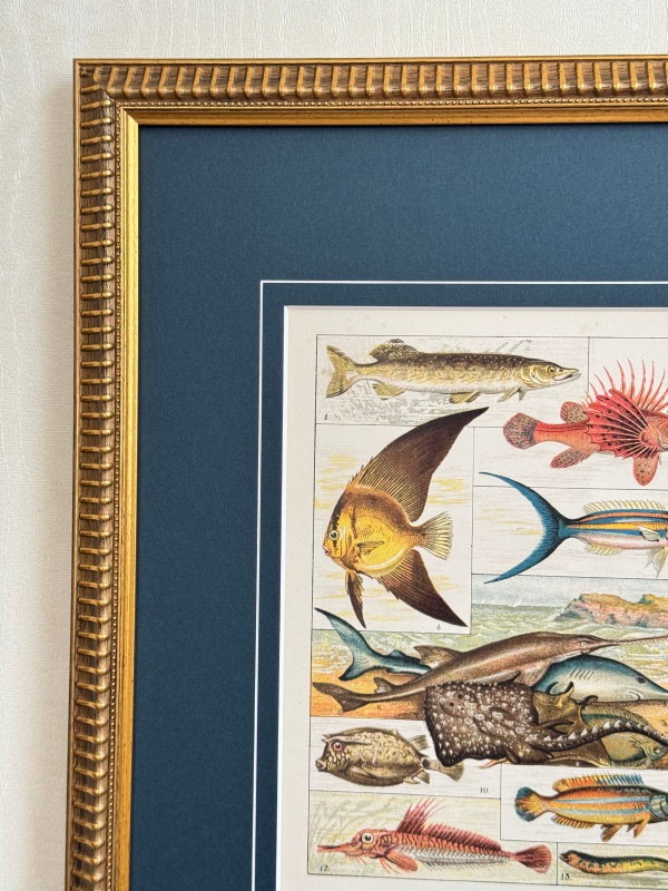 ���å���إʥ����롦�ҥ��ȥ꡼��1889ǯ���ܡֵ����