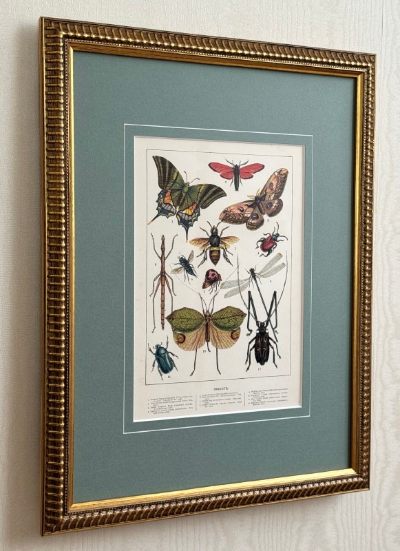 ���å���إʥ����롦�ҥ��ȥ꡼��1889ǯ���ܡֺ����