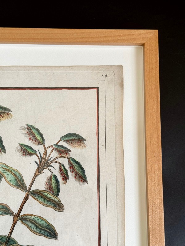 㡼ȥֽβ֡ʪꡦ̤ο޴աץ쥯ɥꥢοʪ 1784ǯܡ118.000ߤ50%OFF