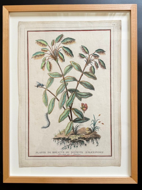 㡼ȥֽβ֡ʪꡦ̤ο޴աץ쥯ɥꥢοʪ 1784ǯܡ118.000ߤ50%OFF