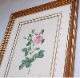 ɥơ֥ХץեꥪȽ祵˽Ǹ ꥫ󥫥ʡ860,000ߤ30%OFF