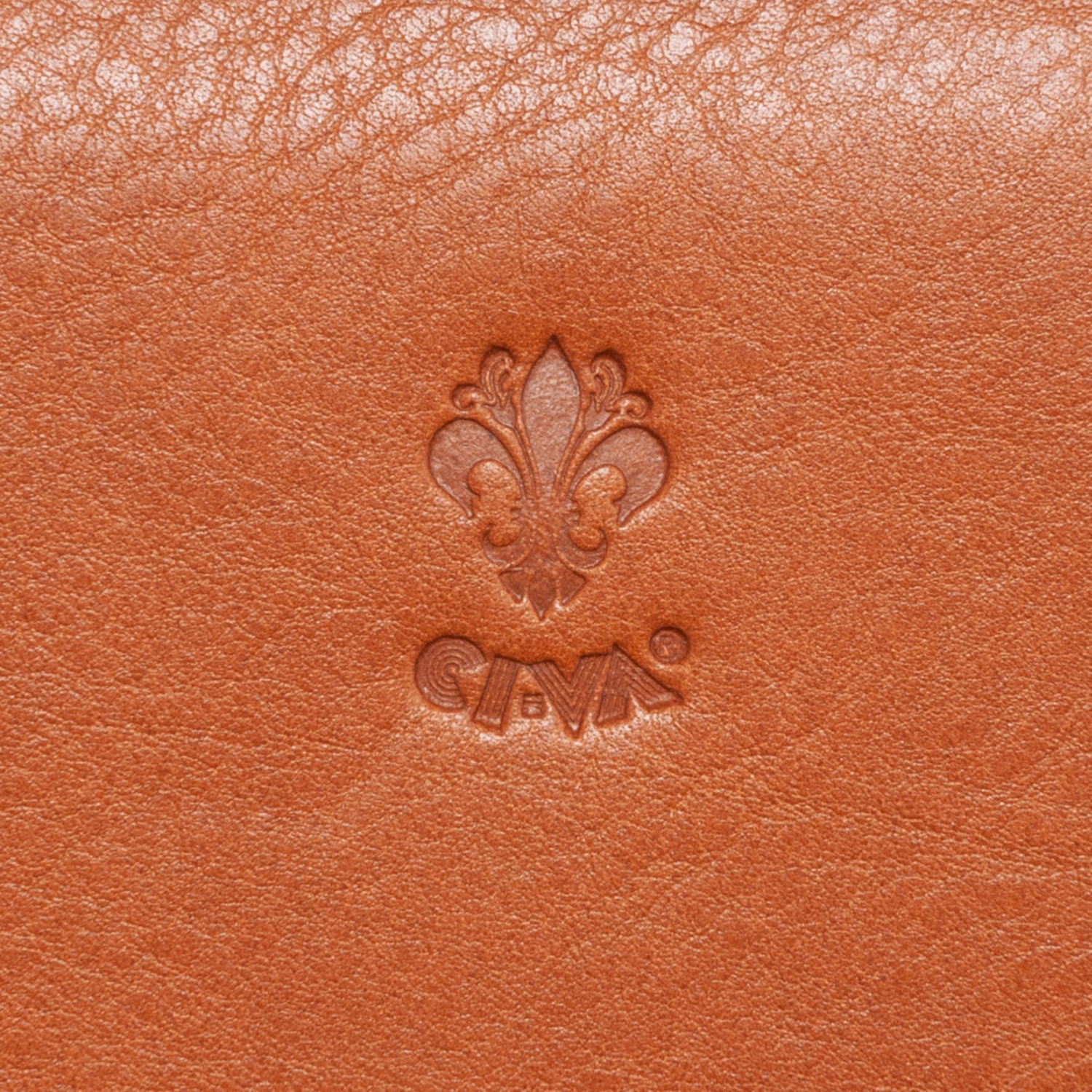 [CI-VA] 2289VOLANATO ( CAMMELLO )