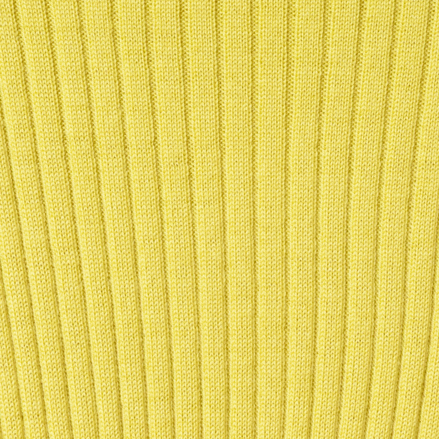 [Harriss] Turtleneck Rib Knit