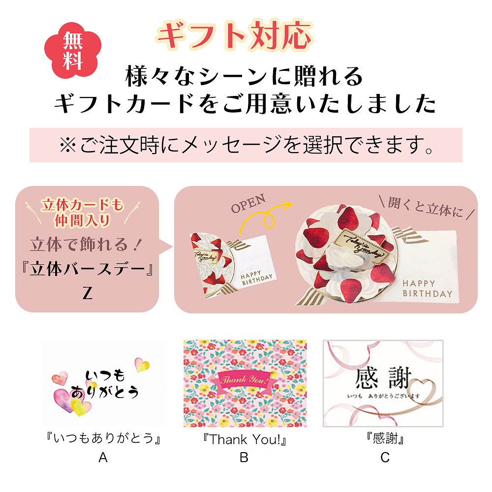 �ɥ饤���㥦&���礵�������꡼����2��GL-ECSE