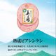 �ڸ�������饤�������̳�ƻ �ץ�ߥ��� ���ι� UKH-51EC��<2026ǯ���渵>