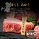 ̵۶彣  ٤٥åKM-802025ǯ渵