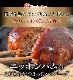 ڥŹ̵ۡդǥߥ饹ϥС160g12ѥå