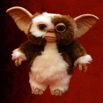 󡡥⡡ѥڥåȥץꥫͽ12545