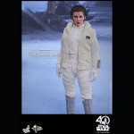 ԥ5/εսࡼӡޥԡ1/6ե奢ץ󥻥쥤ʥۥǡ  ͽ