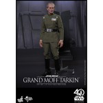 ԥ4/ʤ˾ࡼӡޥԡ1/6ե奢ɥա ͽ