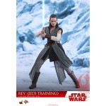 /ǸΥࡼӡޥԡ1/6ե奢쥤ʥȥ졼˥ǡ ͽ