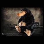 �ե��󥿥��ƥ��å����ӡ����ȡ��˥ե顼���ץ�å��塡13175