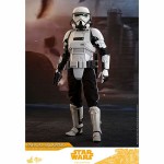 ϥ󡦥/ȡ꡼ࡼӡޥԡ1/6ե奢ѥȥ뎥ȥ롼ѡ ͽ