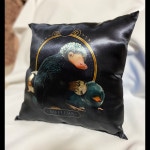 �˥ե顼���å����13534