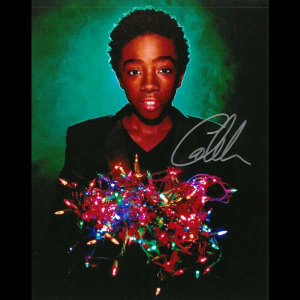 ������֡��ޥ��������B��ľɮ����������ݡ��ȥ쥤�ȡ�15083