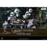 ���������������� ���ԥ�����6/���������ε��ԡ��ࡼ�ӡ����ޥ������ԡ���1/6��������ե����奢���������ȡ��ȥ롼�ѡ������ԡ��������Х�����ͽ��