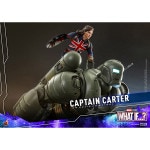 �ۥ�åȡ����ա����������ƥ�ӡ��ޥ������ԡ���1/6��������ե����奢������ץƥ󡦥������� ��ͽ��