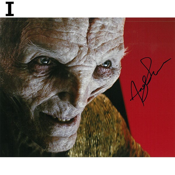 ���������ʸ�Բġۡ�2/28�缡ȯ���ۥ���ǥ�������������ľɮ����������ݡ��ȥ쥤��I��15824