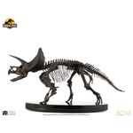 ���������ʸ�Բľ���/�������ۥ���饷�å��ѡ��� 1/12�������� �֥��󥺥������塼 �ȥꥱ��ȥץ��β��й��ʡ�ͽ��