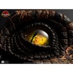 ���������ʸ�Բ�/�������ۥ����ȡ�����/����饷�å����ѡ�����1/1��������ץ��åס���ץꥫ������������ץȥ�ʥ����ˤ��ܡ�ͽ��