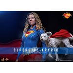 �ࡼ�ӡ����ޥ������ԡ��� �����ѡ������� 1/6��������ե����奢�������ѡ������������ץȡ�ͽ��