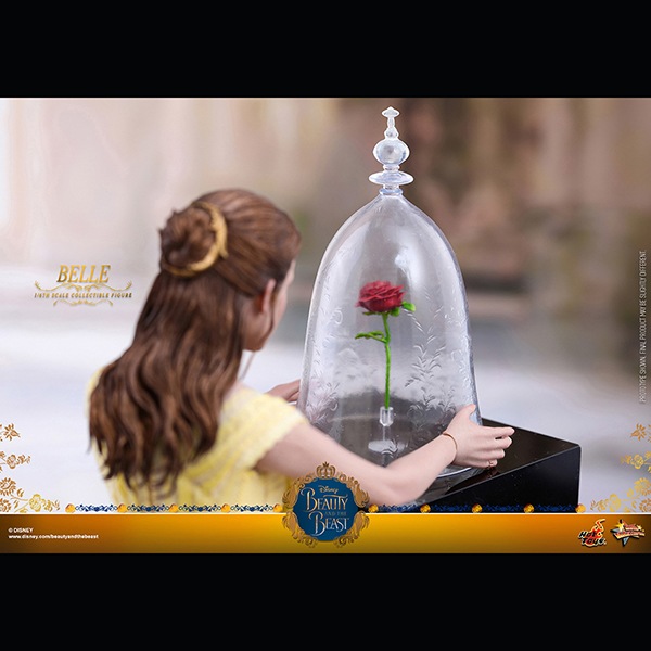 áࡼӡޥԡ 1/6ե奢٥ ͽ