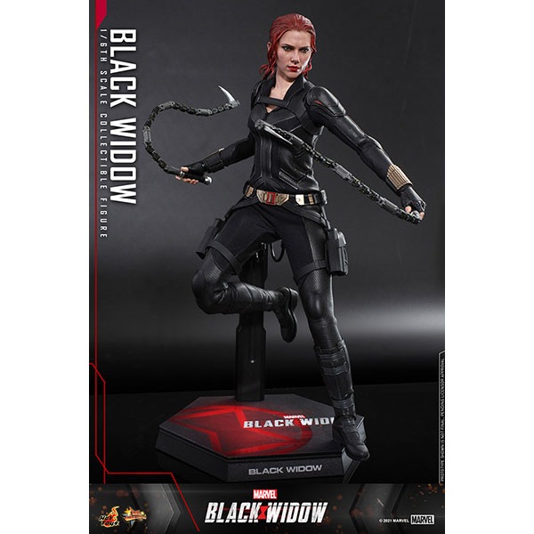 ֥åɥࡼӡޥԡ1/6ե奢֥åɥͽ