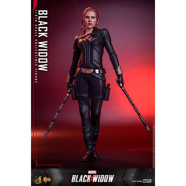 ֥åɥࡼӡޥԡ1/6ե奢֥åɥͽ