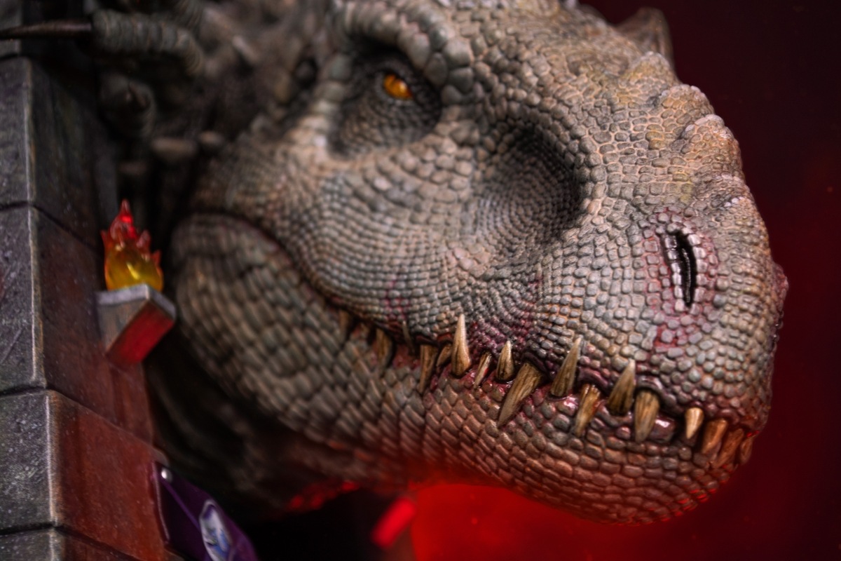 饷å/ ɥߥʥå إåɥǥ  ͽ