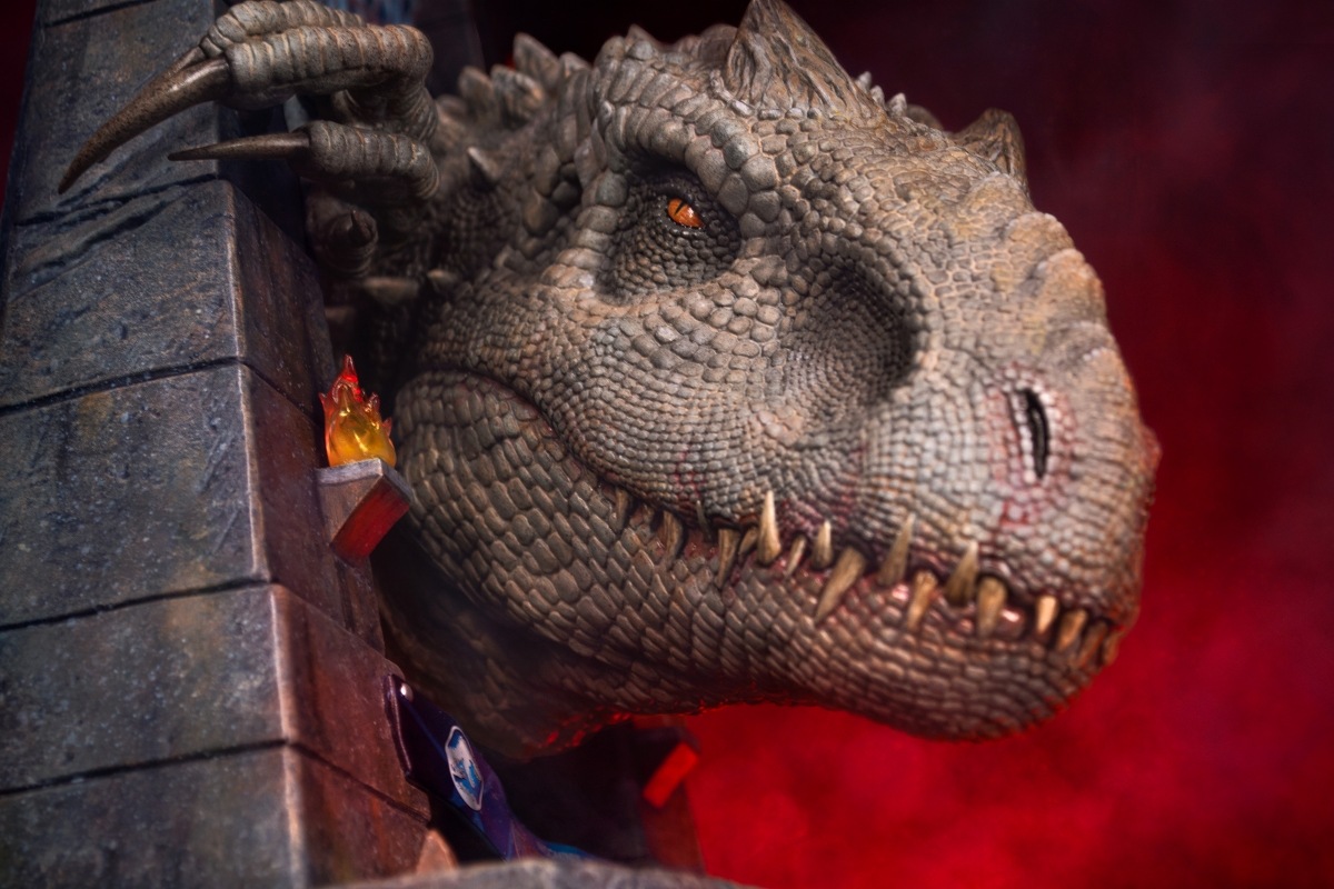 饷å/ ɥߥʥå إåɥǥ  ͽ