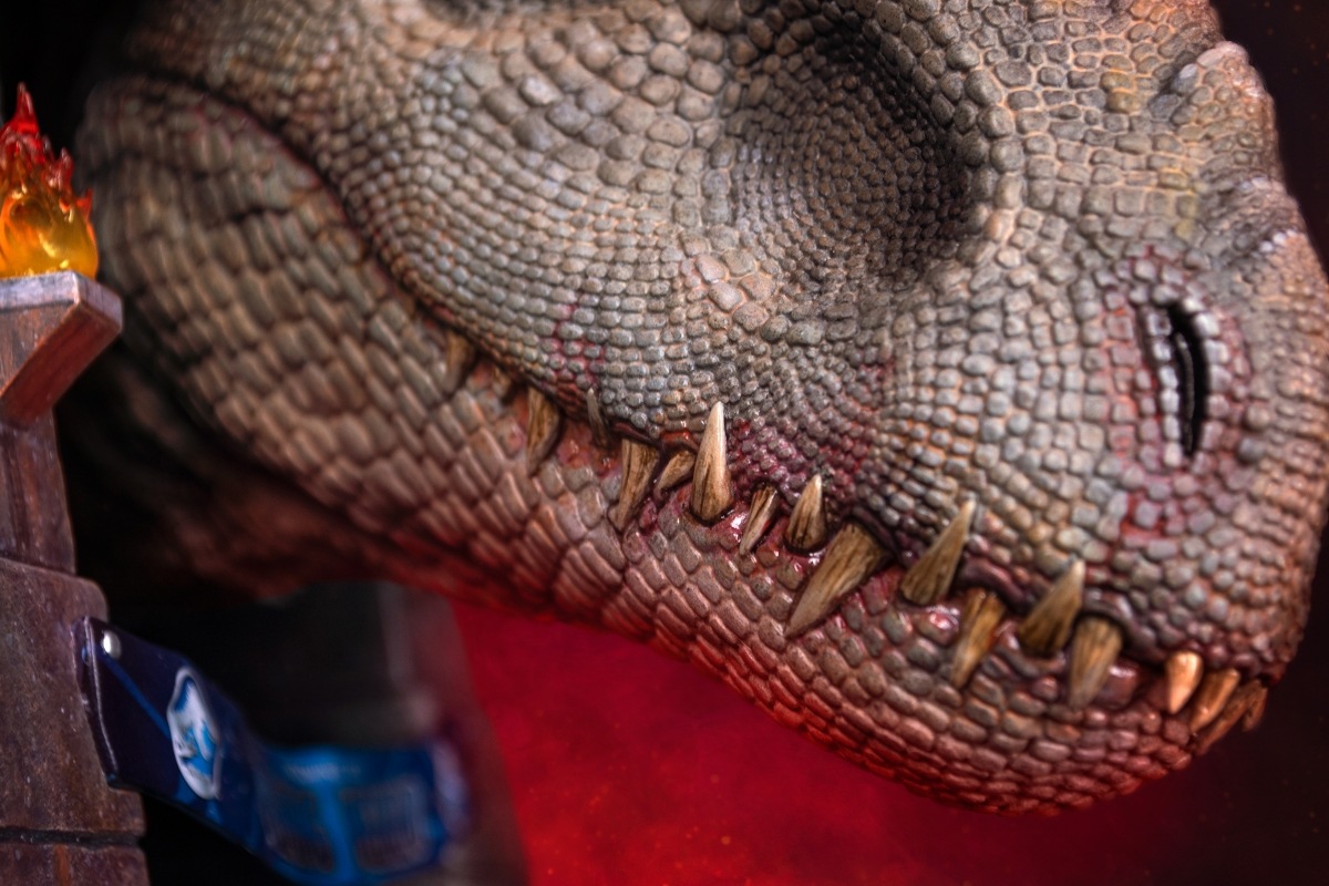 饷å/ ɥߥʥå إåɥǥ  ͽ