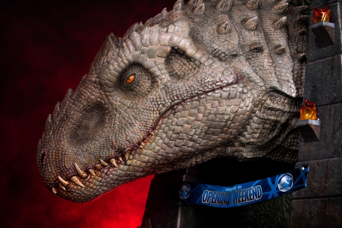 饷å/ ɥߥʥå إåɥǥ  ͽ