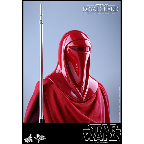 ���������������������ԥ�����6/���������ε��ԡ��ࡼ�ӡ����ޥ������ԡ���1/6��������ե����奢�� ������롦������ ͽ��