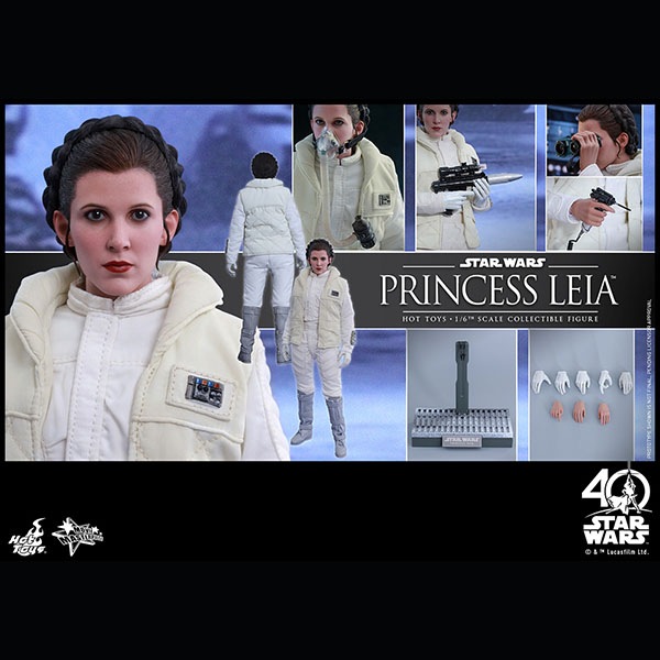 ���������������������ԥ�����5/���εս����ࡼ�ӡ����ޥ������ԡ�����1/6��������ե����奢���ץ�󥻥����쥤�����ʥۥ��ǡ�  ͽ��