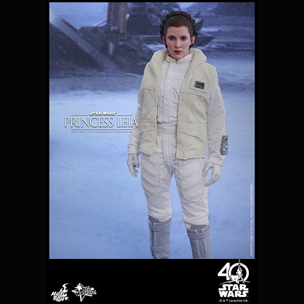 ���������������������ԥ�����5/���εս����ࡼ�ӡ����ޥ������ԡ�����1/6��������ե����奢���ץ�󥻥����쥤�����ʥۥ��ǡ�  ͽ��