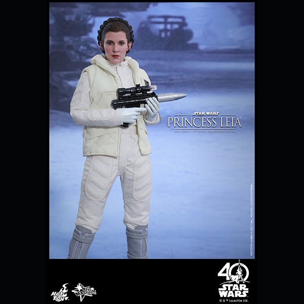 ���������������������ԥ�����5/���εս����ࡼ�ӡ����ޥ������ԡ�����1/6��������ե����奢���ץ�󥻥����쥤�����ʥۥ��ǡ�  ͽ��