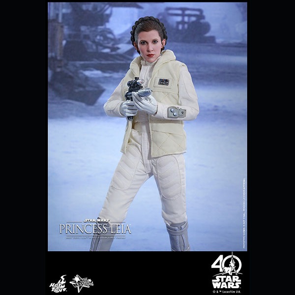 ���������������������ԥ�����5/���εս����ࡼ�ӡ����ޥ������ԡ�����1/6��������ե����奢���ץ�󥻥����쥤�����ʥۥ��ǡ�  ͽ��