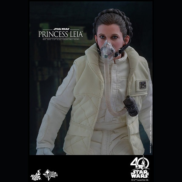 ���������������������ԥ�����5/���εս����ࡼ�ӡ����ޥ������ԡ�����1/6��������ե����奢���ץ�󥻥����쥤�����ʥۥ��ǡ�  ͽ��