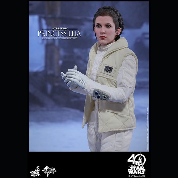 ���������������������ԥ�����5/���εս����ࡼ�ӡ����ޥ������ԡ�����1/6��������ե����奢���ץ�󥻥����쥤�����ʥۥ��ǡ�  ͽ��