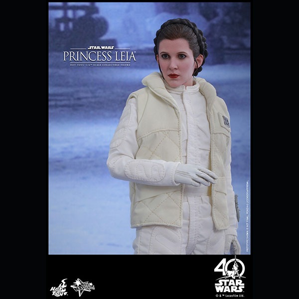 ���������������������ԥ�����5/���εս����ࡼ�ӡ����ޥ������ԡ�����1/6��������ե����奢���ץ�󥻥����쥤�����ʥۥ��ǡ�  ͽ��