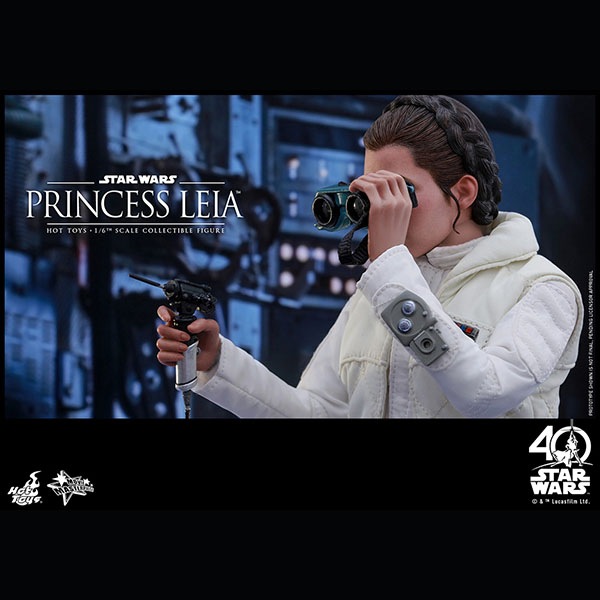 ���������������������ԥ�����5/���εս����ࡼ�ӡ����ޥ������ԡ�����1/6��������ե����奢���ץ�󥻥����쥤�����ʥۥ��ǡ�  ͽ��