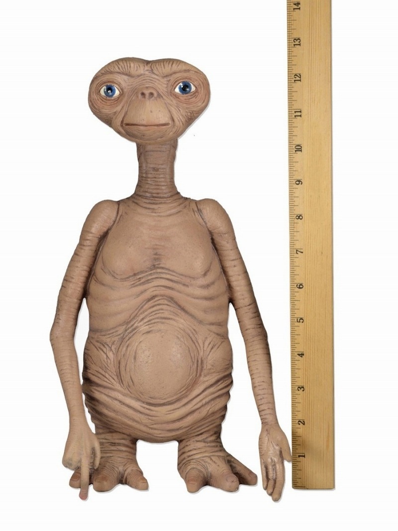 �ں�������E.T./ E.T.�ʥ����ƥ����� ������� �ѥڥå� 12����� ��ץꥫ ��ͽ��