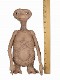 �ں�������E.T./ E.T.�ʥ����ƥ����� ������� �ѥڥå� 12����� ��ץꥫ ��ͽ��