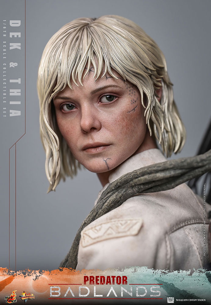 �ץ�ǥ������Хåɥ��ɡ��ࡼ�ӡ����ޥ������ԡ��� 1/6��������ե����奢���ǥ����ƥ�����ͽ��