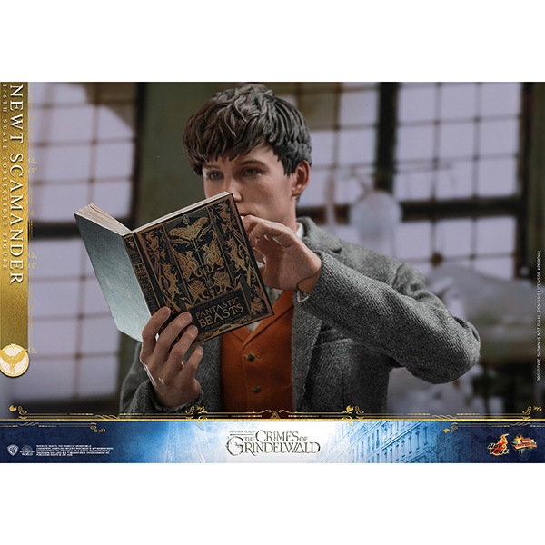 �ե��󥿥��ƥ��å����ӡ����Ȥȹ�����ˡ�Ȥ����������ࡼ�ӡ����ޥ������ԡ���1/6�������롡�ե����奢���˥塼�ȡ�������ޥ���� ͽ��